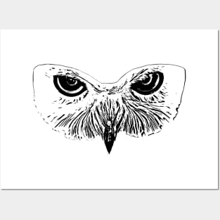 Owl Posters and Art